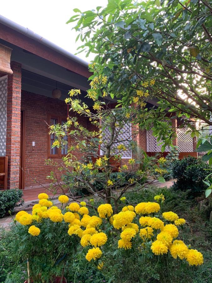 Sam Ong Lang Homestay Phu Quoc Eksteriør bilde